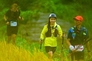 BIB: 
                            <button type="button" onclick="openModal(13455512)" class="btn btn-primary btn-sm float-right btn-popup" data-toggle="modal" data-target=".modal-high-quality">
                        <i class="fas fa-shopping-cart"></i> Add to Cart
                    </button>
                                            <button type="button" onclick="isThisMe(13455512, true)" class="btn btn-success btn-sm float-right btn-popup btn-isme hidden" data-toggle="tooltip" data-placement="bottom" title="นี่คือรูปของคุณใช่ไหม คลิกที่นี่เพื่อเอาเข้าอัลบั้ม">
                        <i class="fas fa-plus"></i> Add to album
                    </button>
                    <button type="button" onclick="isThisMe(13455512, false)" class="btn btn-warning btn-sm float-right btn-popup btn-isnotme hidden">
                        <i class="fas fa-ban"></i> Remove from album
                    </button>